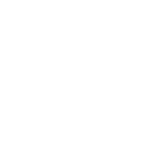 Chicco Nember