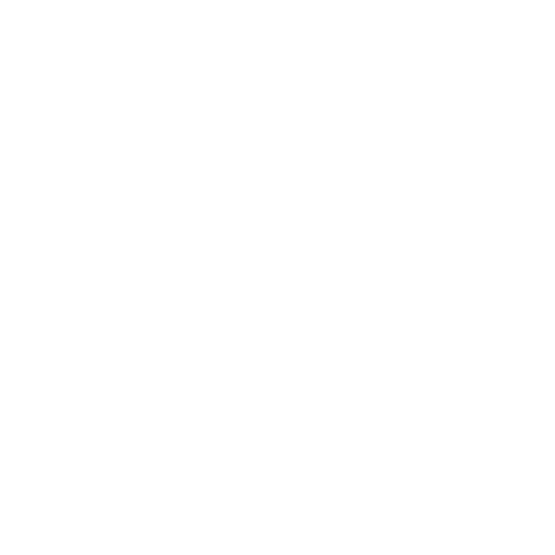 Pianeta Srl